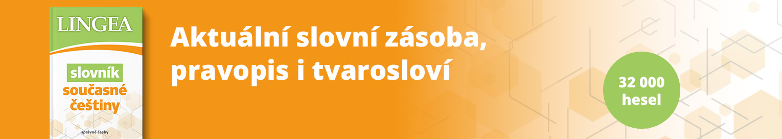 Aktuální slovní zásoba, pravopis i tvarosloví