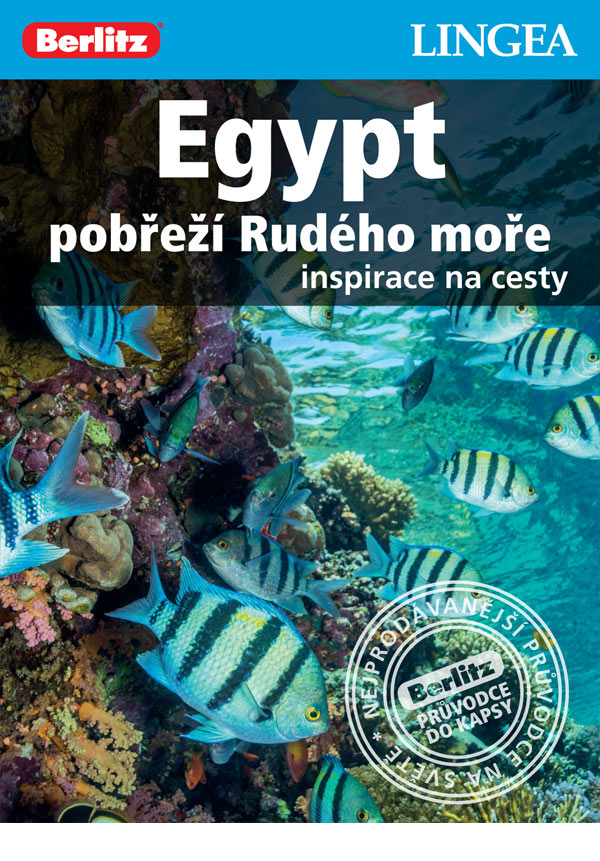 Egypt pobřeží Rudého moře