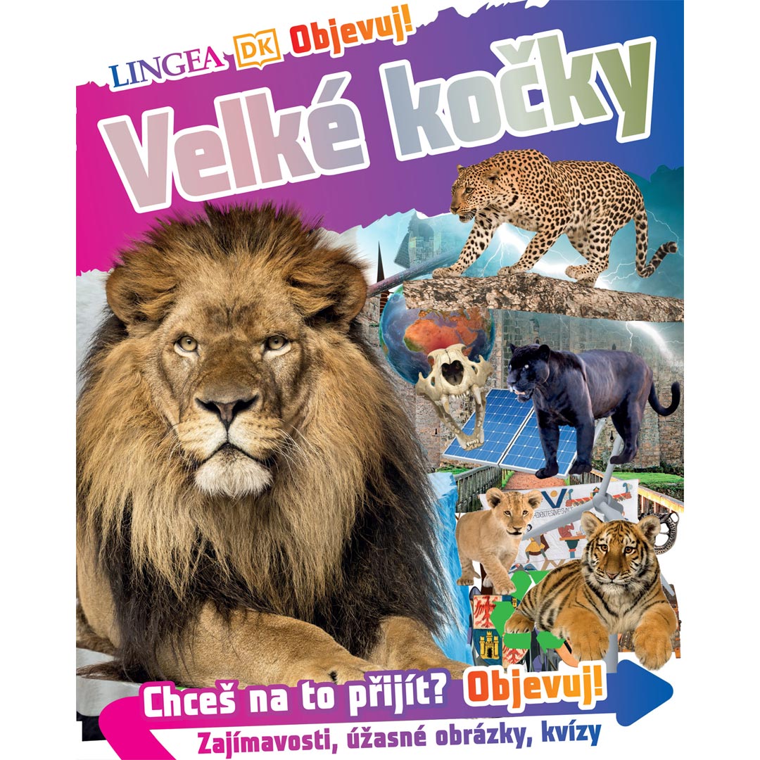 Objevuj! Velké kočky