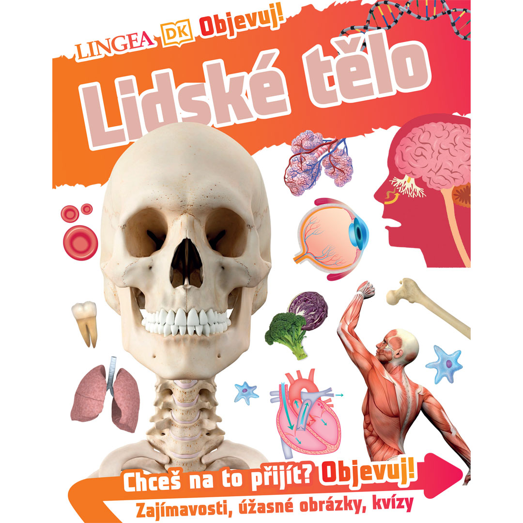 Objevuj! Lidské tělo