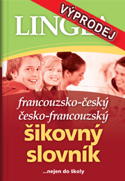 Francouzský šikovný slovník