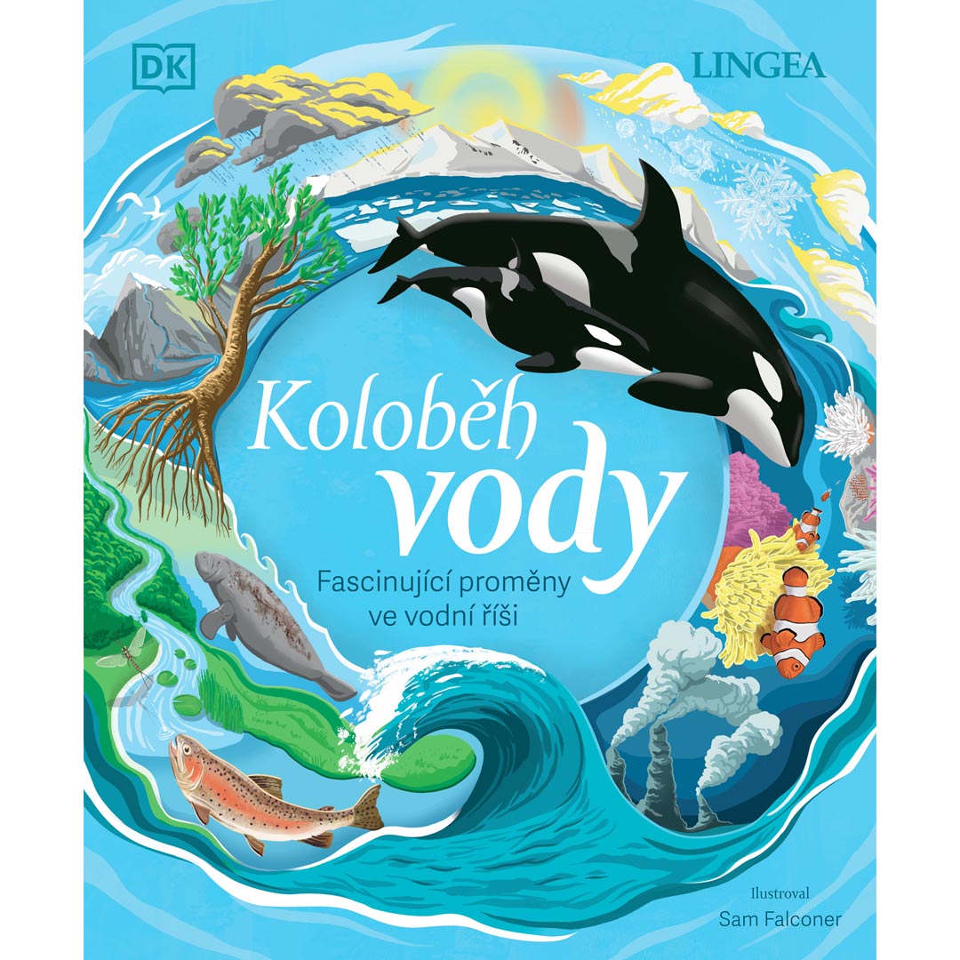 Koloběh vody