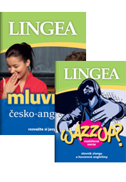 Komplet angličtina: mluvník a slovník slangu