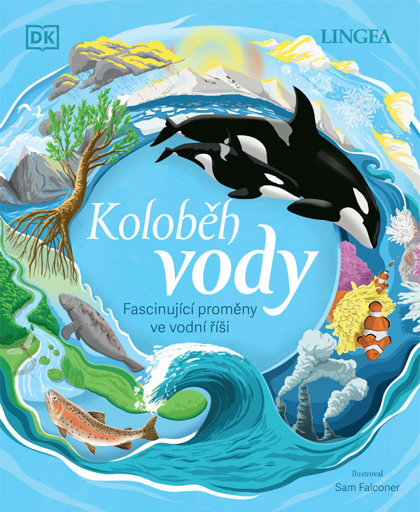 Koloběh vody