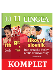 Francouzština SŠ: šikovný slovník, mluvník, gramatika