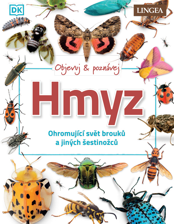 Objevuj & poznávej: Hmyz