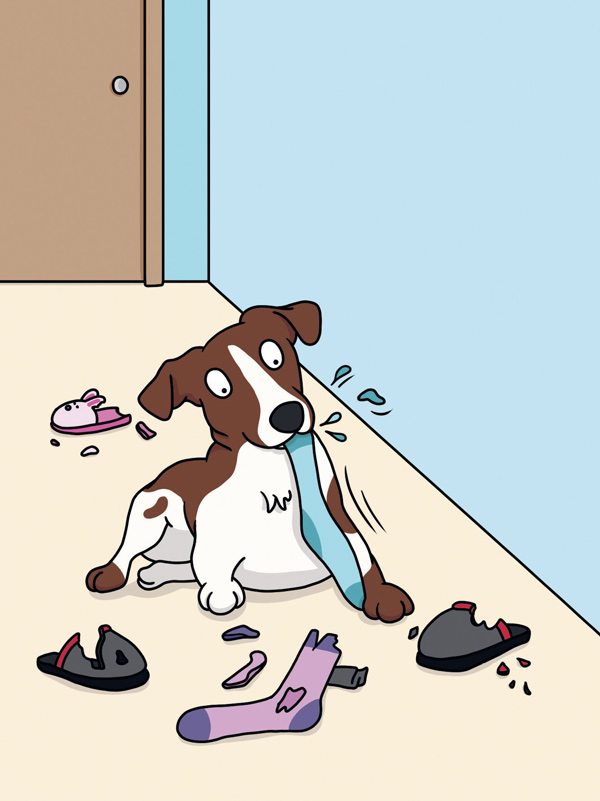 Proč si váš pes myslí, že jste hrdina