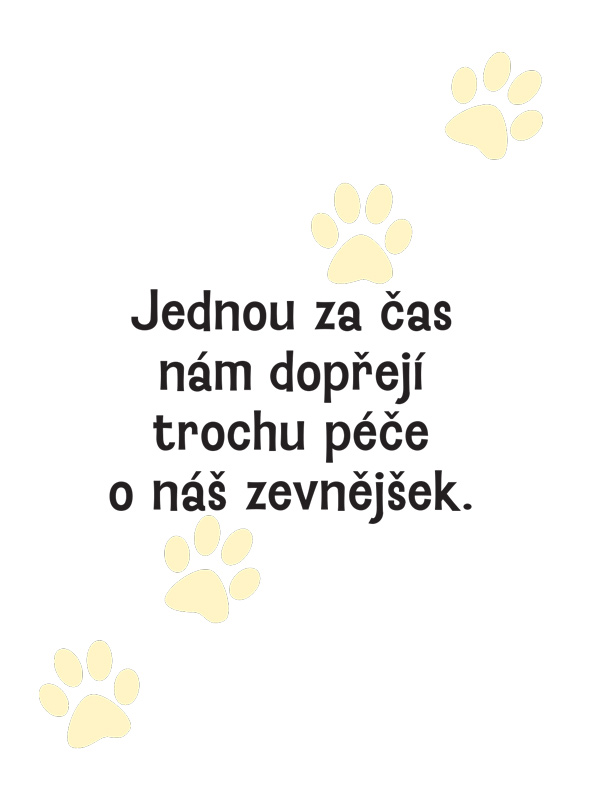 Proč si váš pes myslí, že jste hrdina