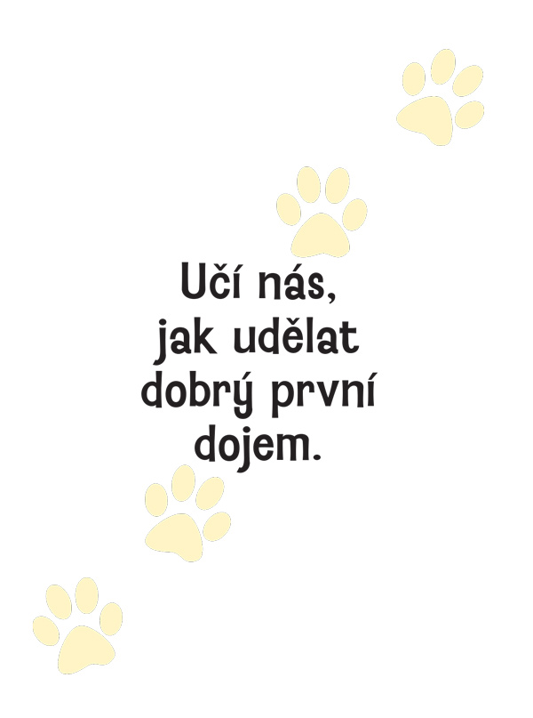 Proč si váš pes myslí, že jste hrdina