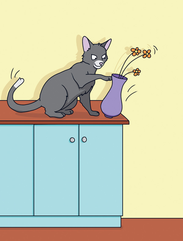 Proč si vaše kočka myslí, že jste idiot