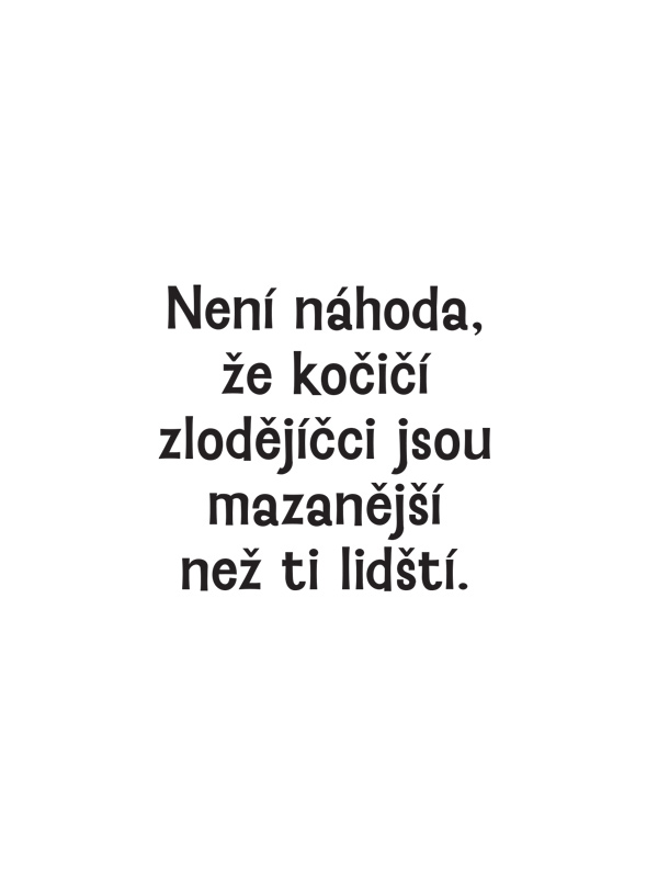 Proč si vaše kočka myslí, že jste idiot