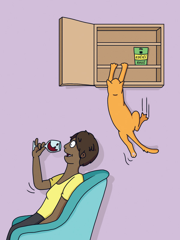 Proč si vaše kočka myslí, že jste idiot