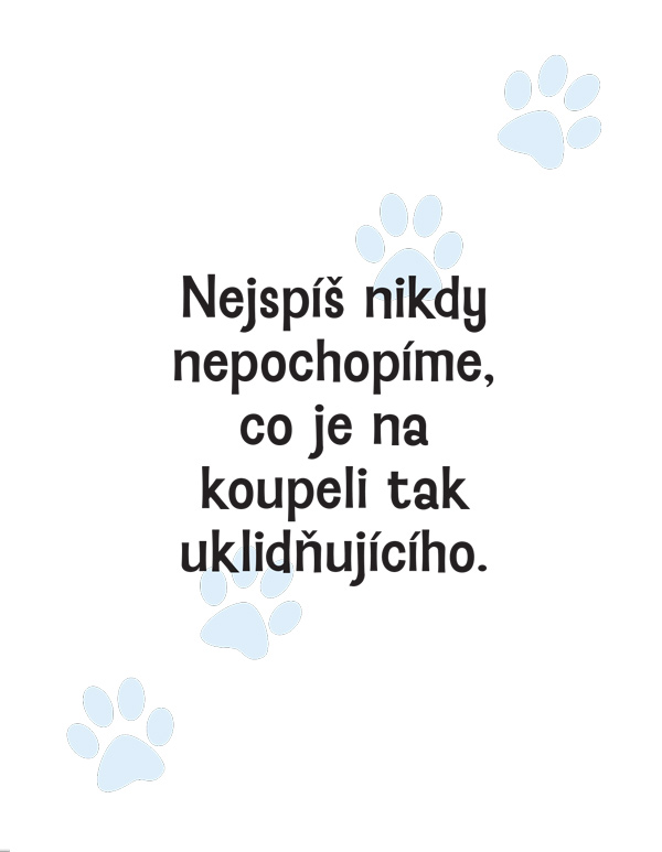 Proč si vaše kočka myslí, že jste idiot