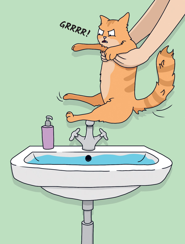 Proč si vaše kočka myslí, že jste idiot