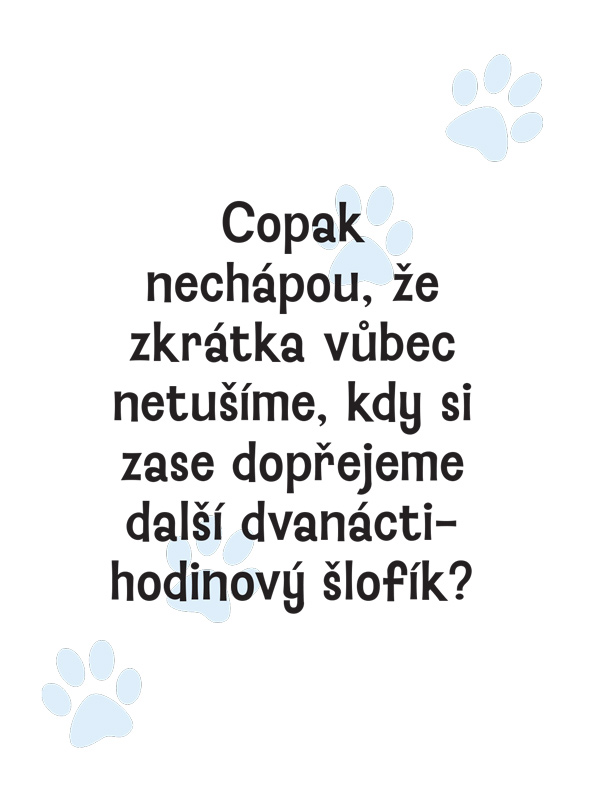 Proč si vaše kočka myslí, že jste idiot