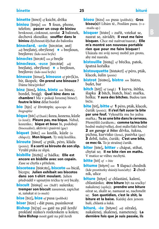 Komplet francouzština: mluvník a slang