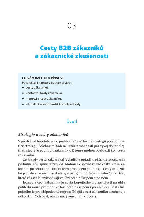 Strategie B2B digitálního marketingu