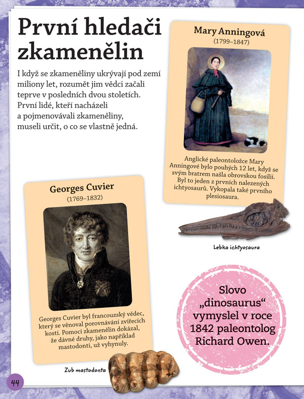 Objevuj & poznávej: Fosilie