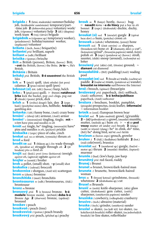 Praktický anglický slovník k maturitě, 5. vydání
