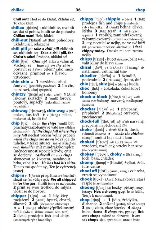 WAZZUP? Slovník slangu a hovorové angličtiny, 1. vydání