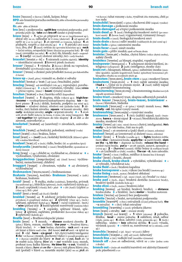 Anglicko-český česko-anglický velký slovník, 4.&nbsp;vydání