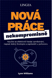 Nová práce