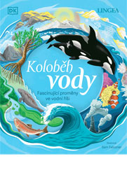 Koloběh vody