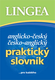 Praktický anglický slovník k maturitě