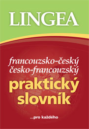 francouzský slovník