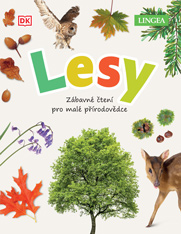 Lesy
